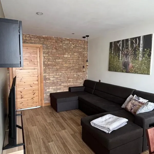 Dzirnavu ielas apartamenti，位于萨尔杜斯的酒店