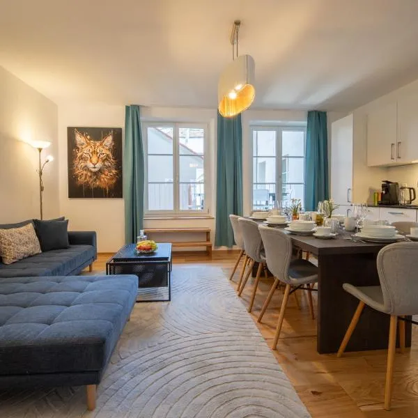 Spacious Apartment in Central Basel near Rhine - Special TOP LUX 14 Apartment, Basel, up to 8 guests，位于巴塞尔的酒店