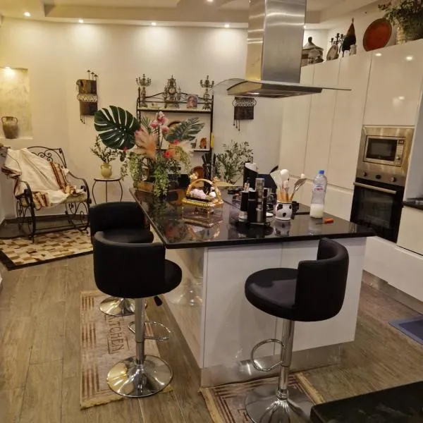 grand appartement la roche，位于Banzart的酒店