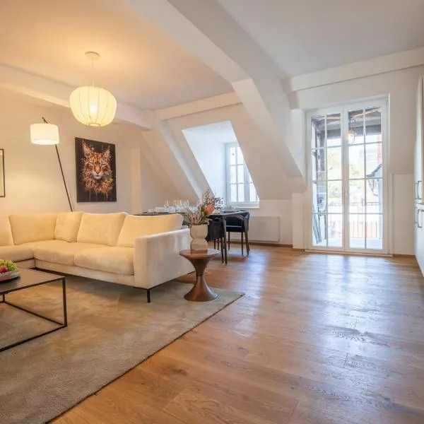 Spacious Apartment in Central Basel near Rhine - Special TOP LUX 34 Apartment, Basel, up to 8 guests，位于巴塞尔的酒店