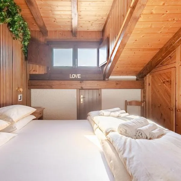 Val di Sole Apartment，位于蒙克拉西科的酒店