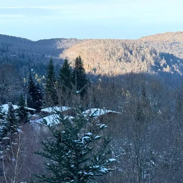 Charmant studio aux pieds des pistes，位于Montferrier的酒店