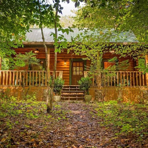 Cherokee Ridge Cabin Near The Ocoee River，位于Ocoee的酒店