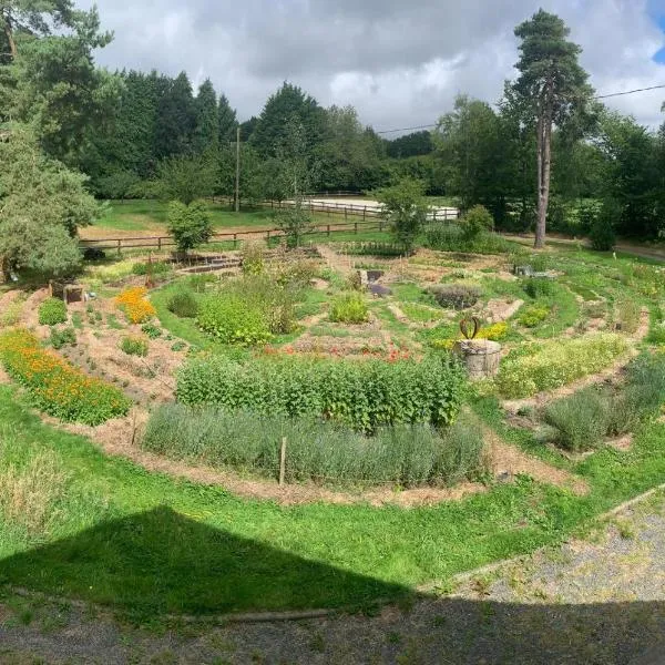 Chambre privée en bordure de la forêt d'Ecouves，位于Le Cercueil的酒店