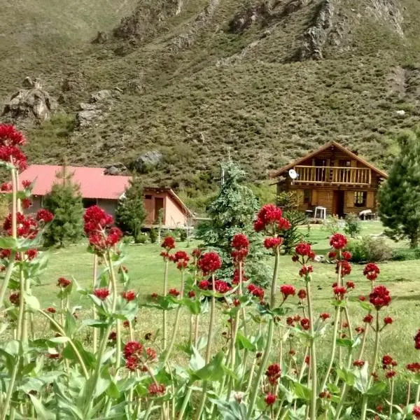 La Araucaria，位于波特雷里约斯的酒店