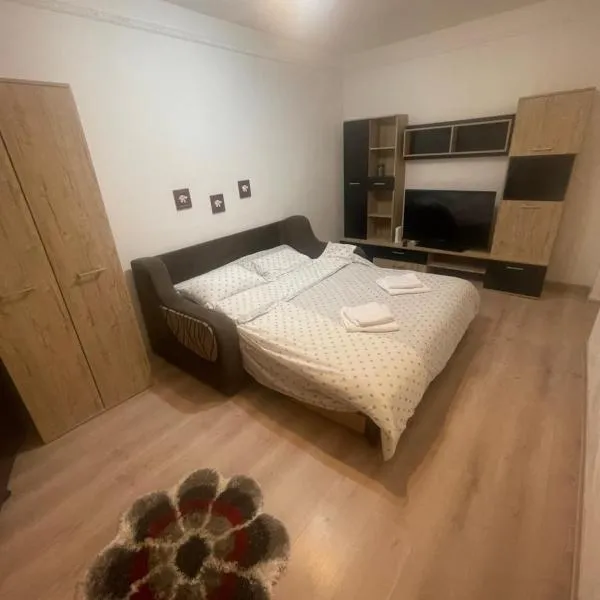 Garsoniera,位于巴克乌的酒店