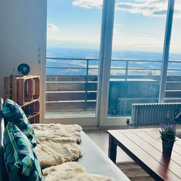 Apartment Gelassenheit Geyersberg - dein Ort zum Ankommen，位于弗赖翁的酒店