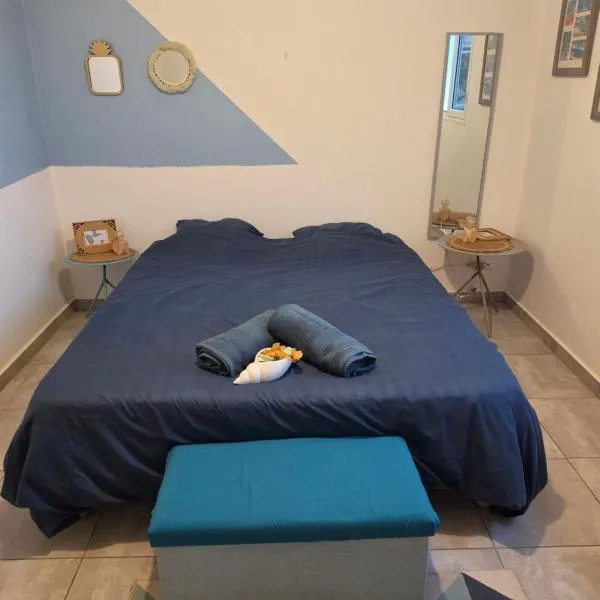 Chambre chez l'habitant Petit-Bourg，位于珀蒂堡的酒店