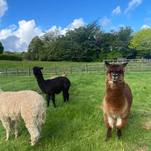 Alpaca Haven Farm，位于罗托鲁瓦的酒店