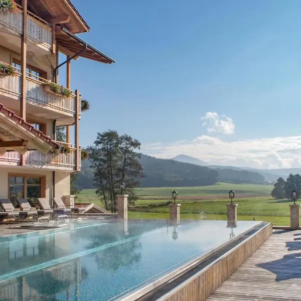Natur- & Wellnesshotel Brunner Hof，位于Arnschwang的酒店