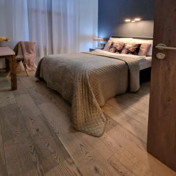 Pension Villa Grün，位于茨维考的酒店