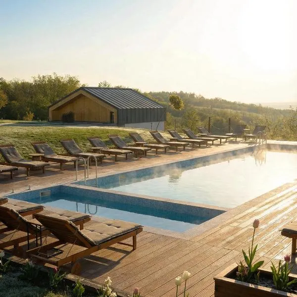 Zen Resort & SPA,位于Purcari的酒店
