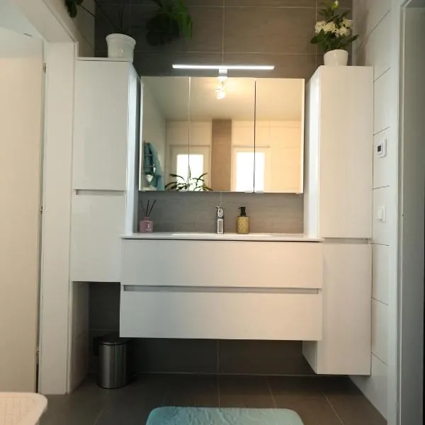 Wasser & Bergwelt Appartement Kärnten，位于塞博登的酒店