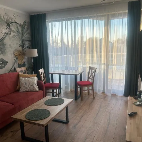 Apartament dębowy，位于萨比诺瓦的酒店