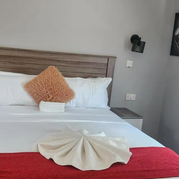 The Hornbill Lodge，位于Nata的酒店