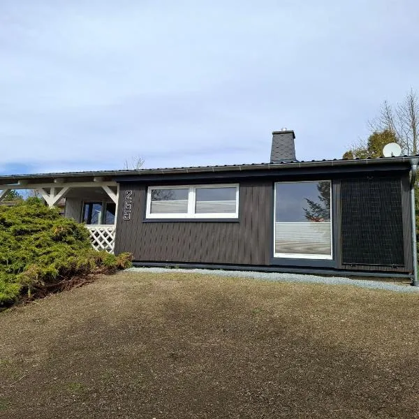 Ferienhaus 265 am Zeulenrodaer Meer，位于Zadelsdorf的酒店