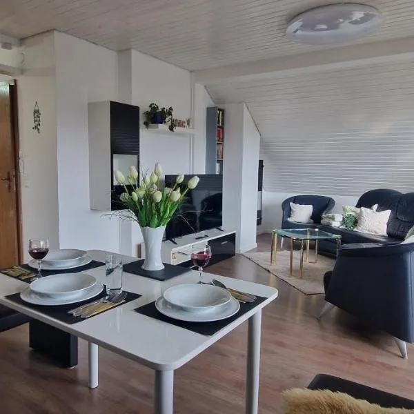 Ferienwohnung Linde im fränkischen Seenland，位于海德克的酒店