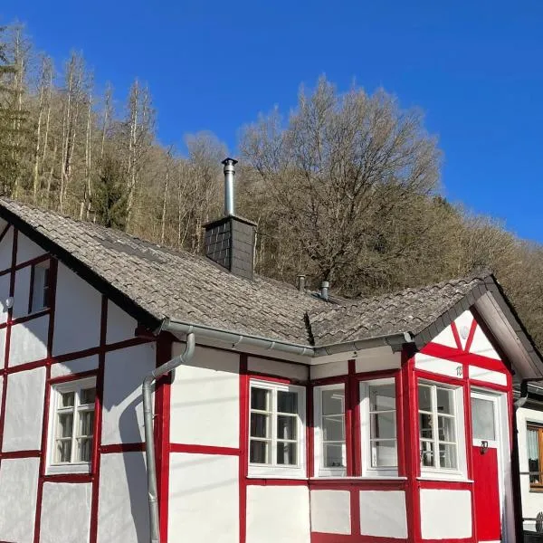 Hilla's Traumhaus in der Eifel，位于施莱登的酒店