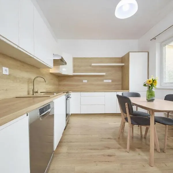 Danubia Apartment Gabčíkovo，位于Gabčíkovo的酒店