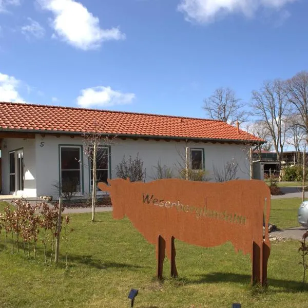 Weserberglandalm，位于Ottenstein的酒店