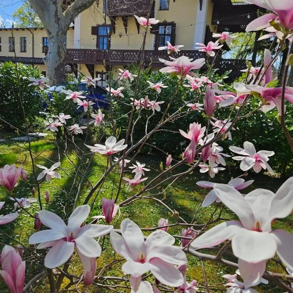 Villa Musik - historical apartments, Baden，位于巴登的酒店