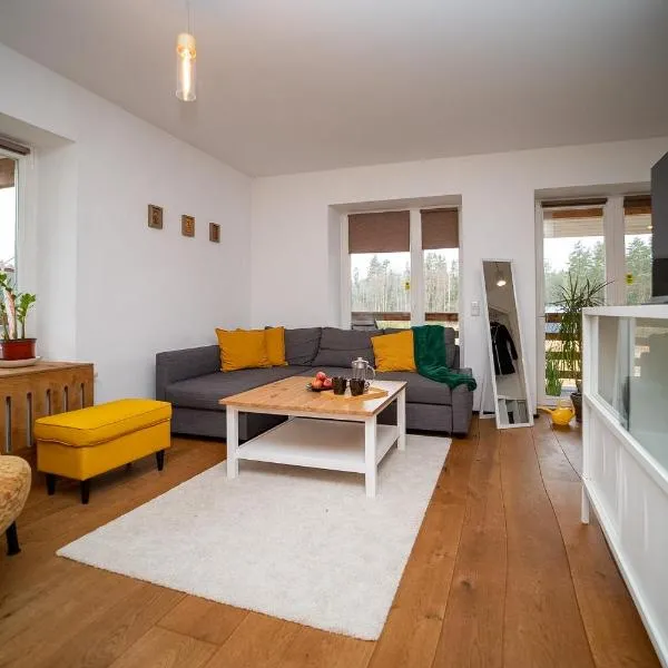 Lahemaa Apartment with Sunny Balcony near Viru Bog，位于Kolga的酒店