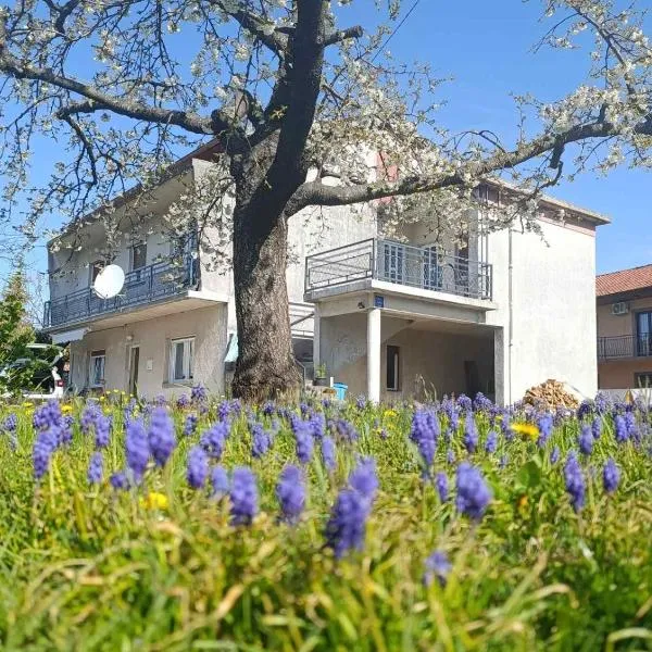 Apartman Francesca，位于Podhum的酒店