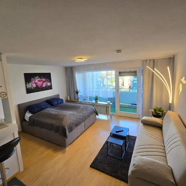 Relax Apartment in guter Lage，位于因戈尔施塔特的酒店