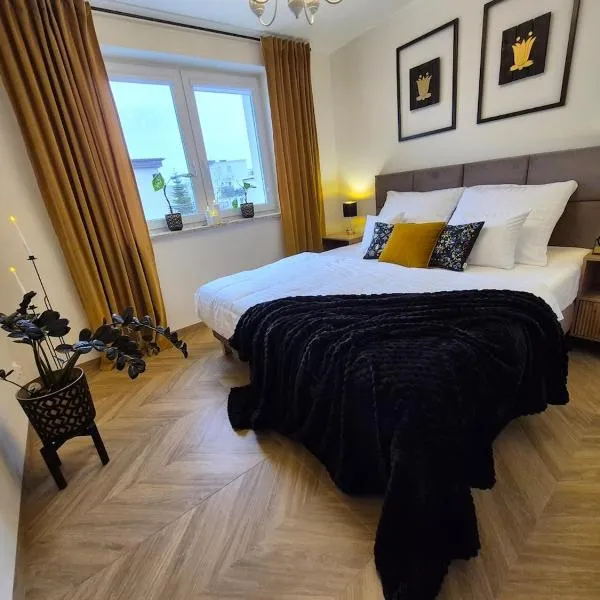 Apartamenty Kaszubskie，位于雷达的酒店