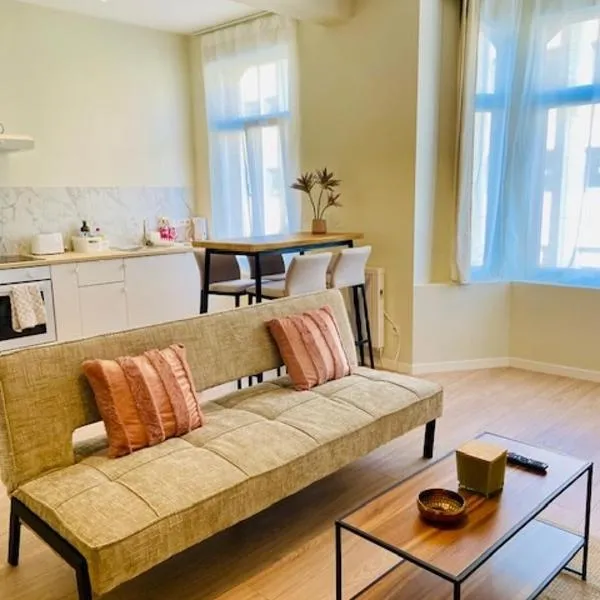 Appartement moderne,5pers,accès facile au centre,Berchem Brussels，位于布鲁塞尔的酒店