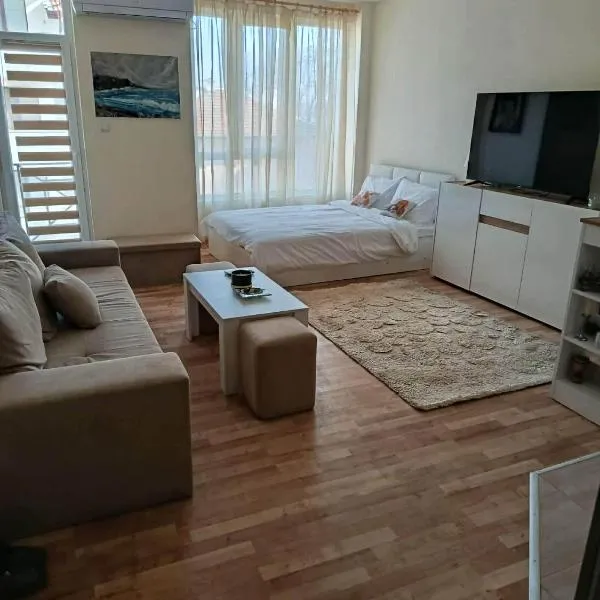 Дунав апарт Danube apart，位于维丁的酒店