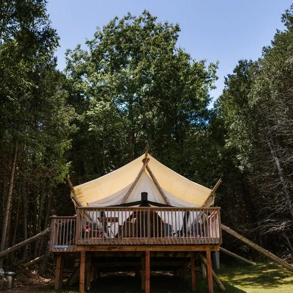 Whispering Springs Wilderness Retreat,位于Grafton的酒店