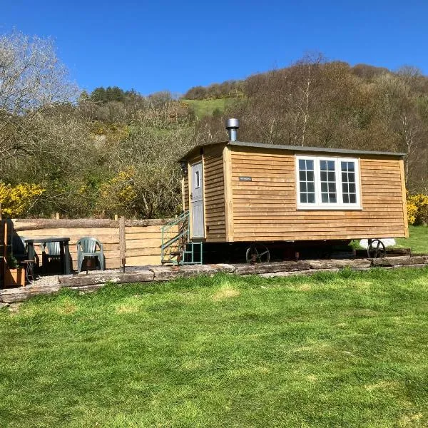 The Rheidol Shepherds Hut，位于阿伯里斯特威斯的酒店