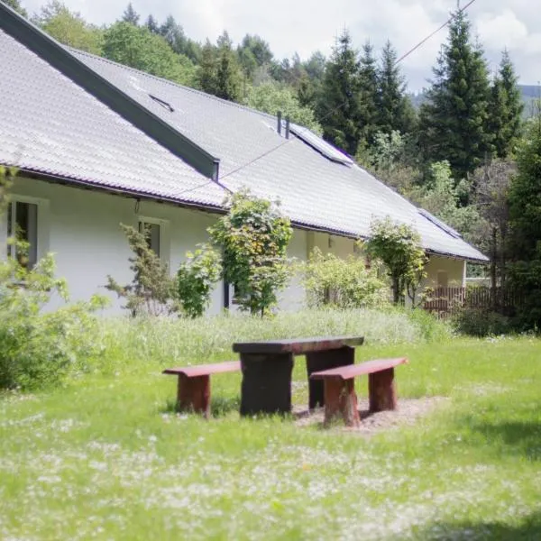 Noclegi BdPN Terebowiec w Ustrzykach Górnych，位于奥斯特基基格恩的酒店