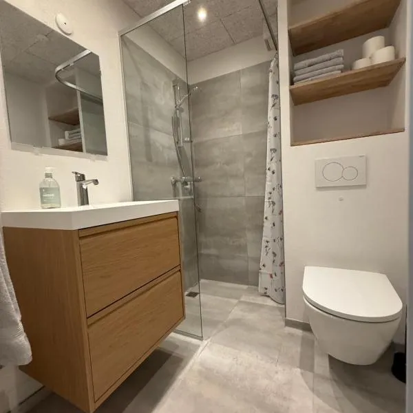 Completely renovated apartment, 6 sleeps，位于海宁的酒店