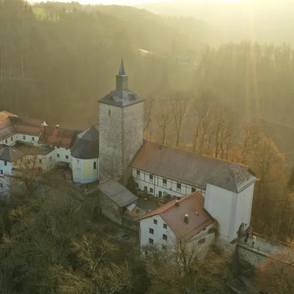 Zum Schlosswirt，位于Fürsteneck的酒店