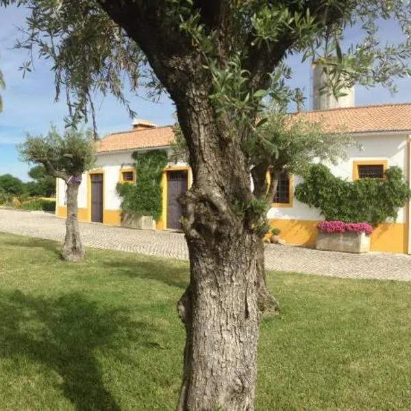 Quinta Da Mata，位于Advagar的酒店