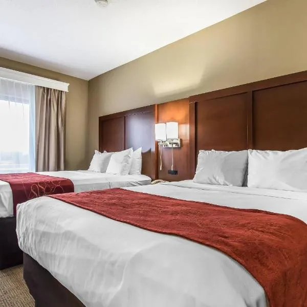 Comfort Suites Effingham Central，位于埃芬汉的酒店