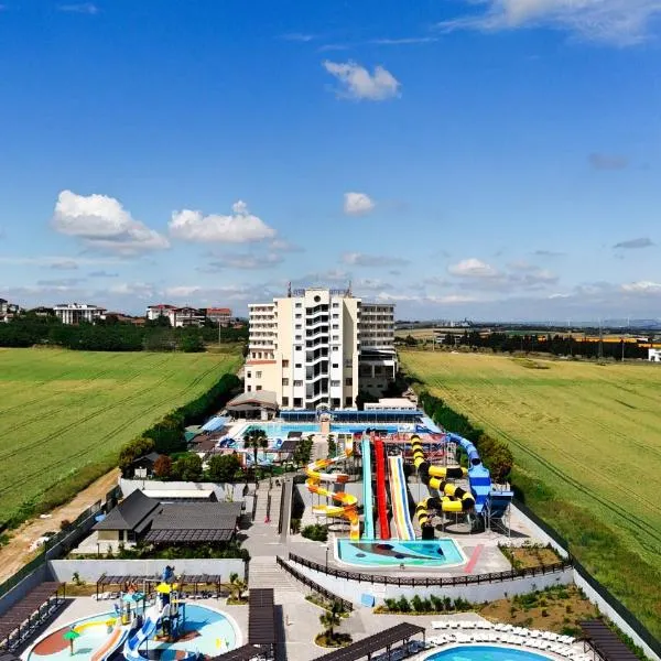 Eser Diamond Hotel Spa & Convention Center İstanbul，位于锡利夫里的酒店