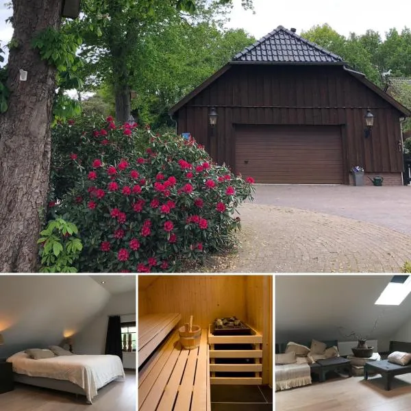 B&B De Drentse Es，位于埃曼的酒店