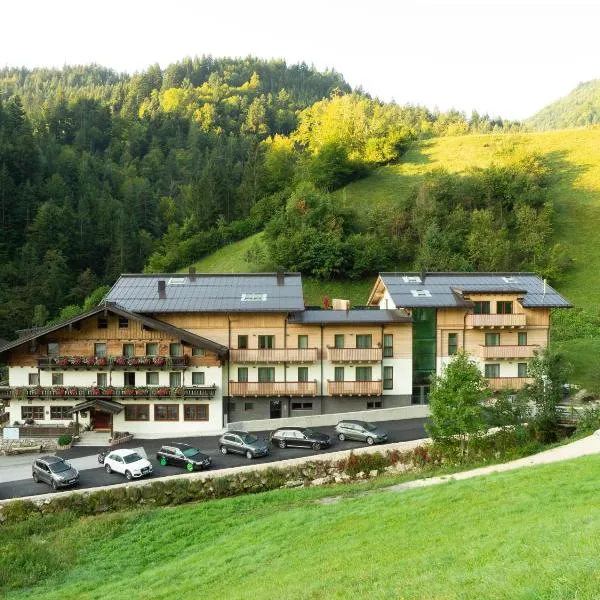 Friedlwirt-Kraftplatz Natur，位于翁肯的酒店