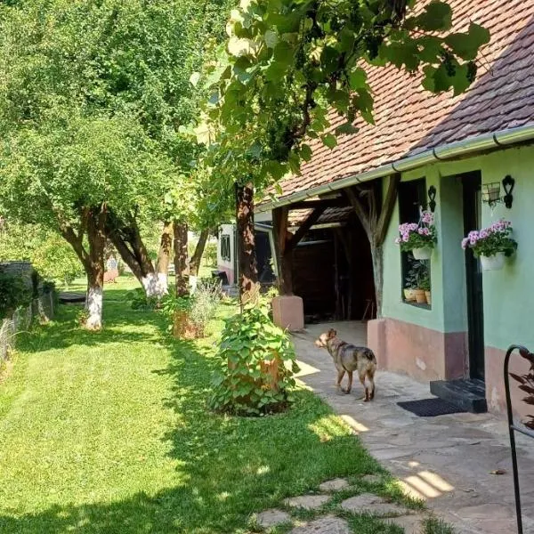 Valchid Guest House，位于Valchid的酒店