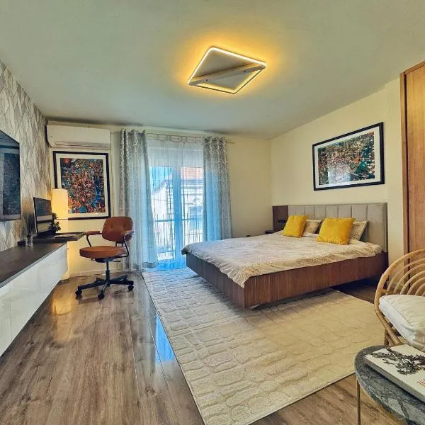 Negotin Centar Apartment with Parking，位于内戈廷的酒店