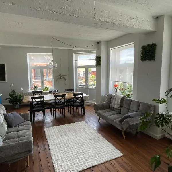 Maro Appartments，位于伊普尔的酒店