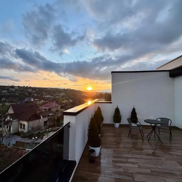 Modern Penthouse with Large Terrace & Stunning Sunset Views，位于基希讷乌的酒店