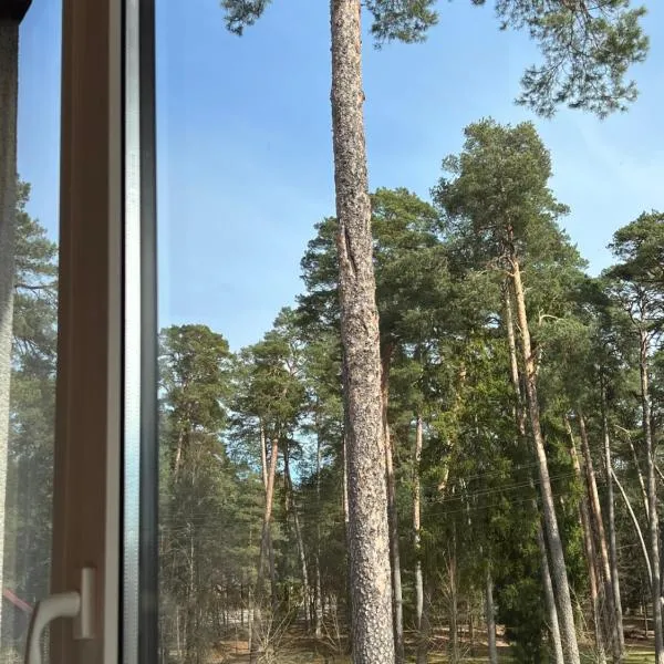 Kulautuva Park Apartments，位于Kulautuva的酒店