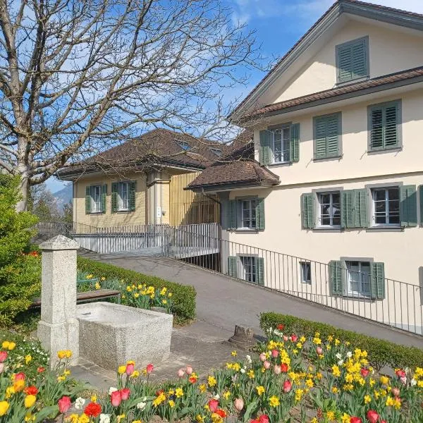 Peterhof Sarnen，位于萨尔嫩的酒店