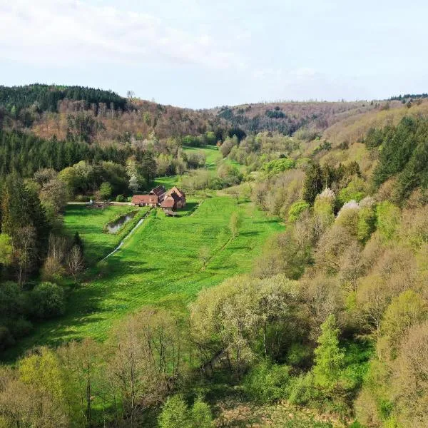 Maison d'hôtes La Paulusmühle Ancien moulin en pleine nature，位于Soucht的酒店