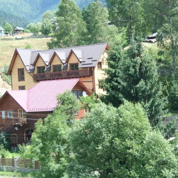 Skarbivka，位于亚西尼亚的酒店
