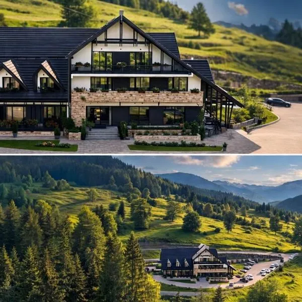 Rarău Retreat，位于坎普朗莫道尼斯的酒店